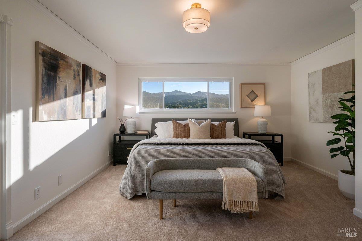 14 Irene Drive Novato CA 94947