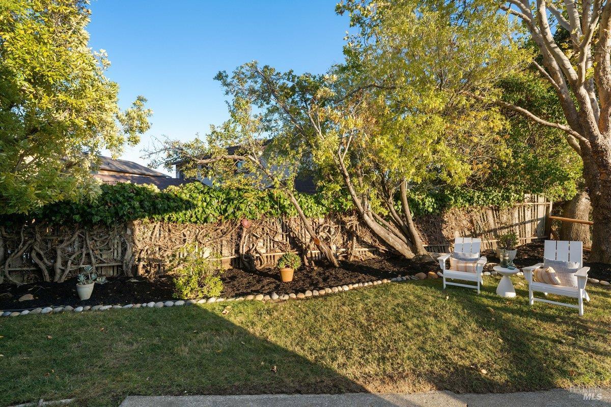 14 Irene Drive Novato CA 94947