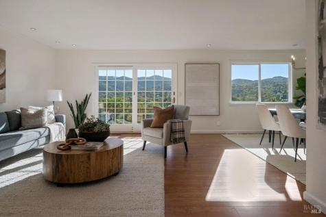 14 Irene Drive Novato CA 94947