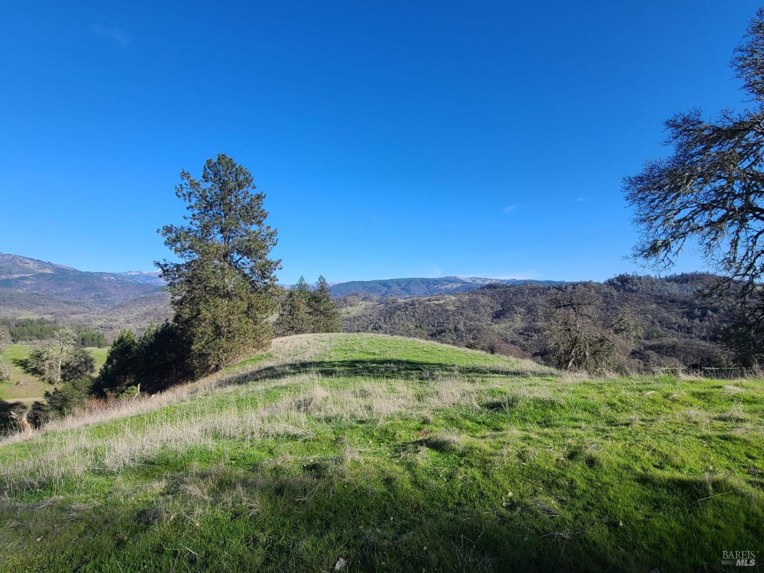26850 Highway 162 Covelo CA 95428