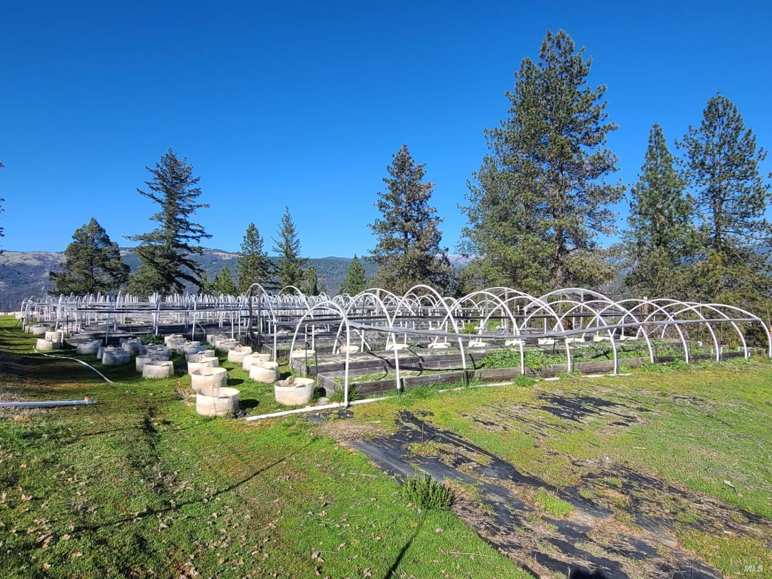 26850 Highway 162 Covelo CA 95428