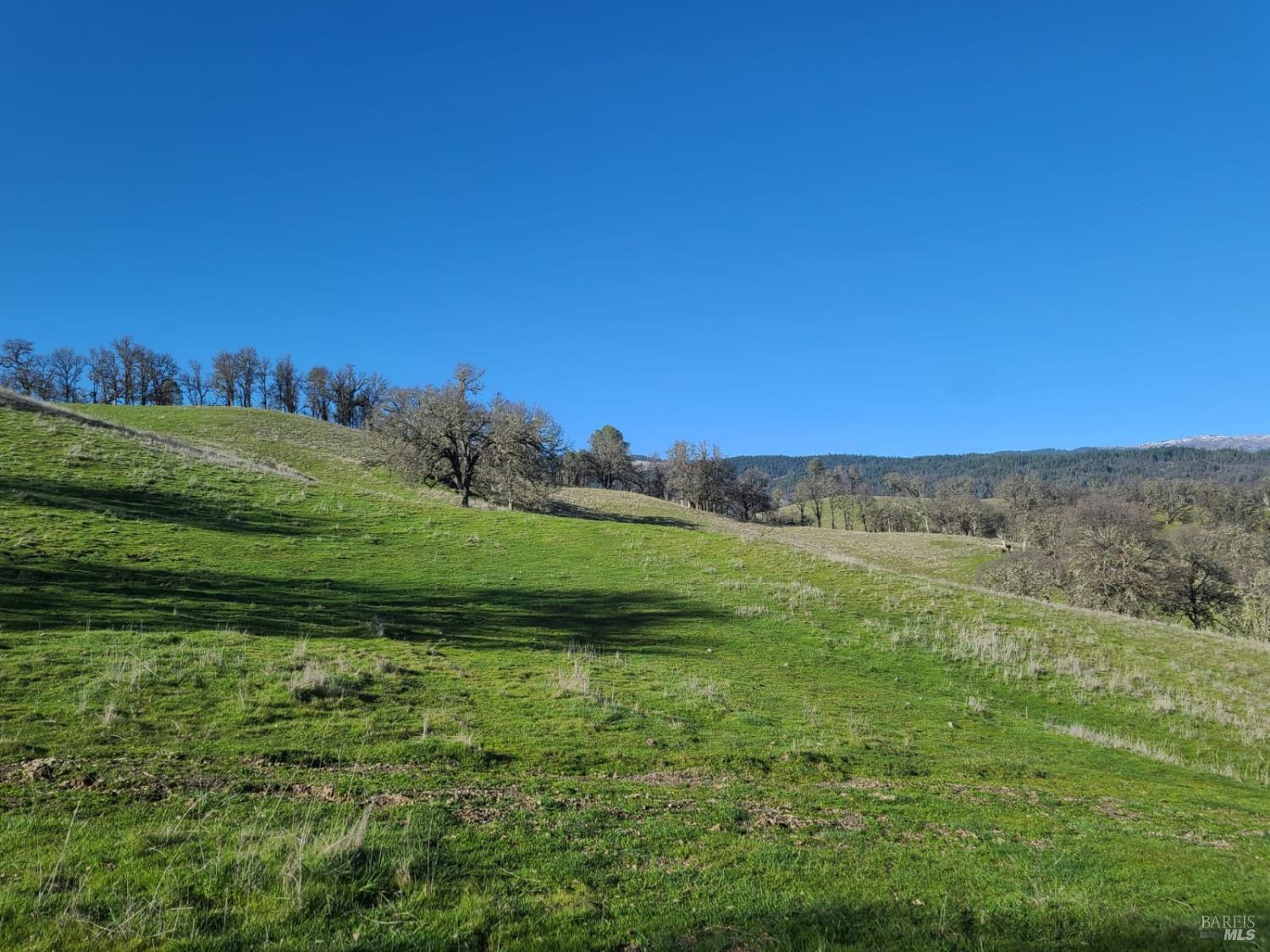 26850 Highway 162 Covelo CA 95428