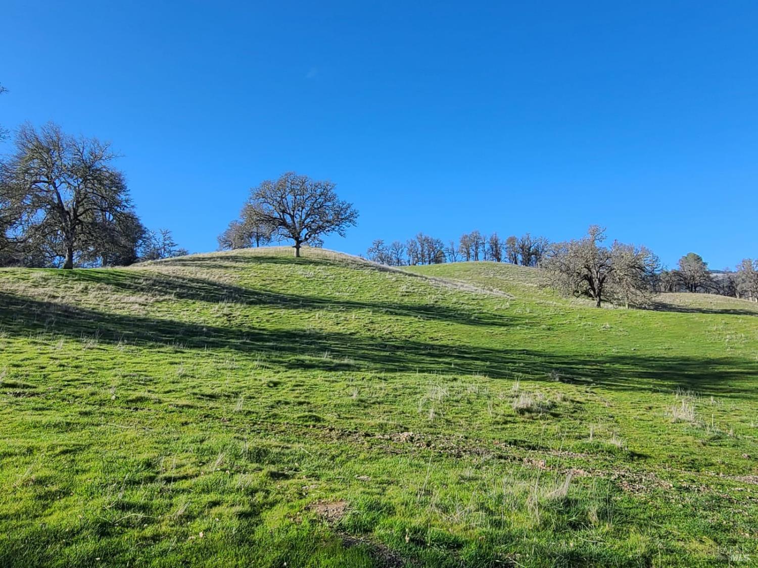 26850 Highway 162 Covelo CA 95428
