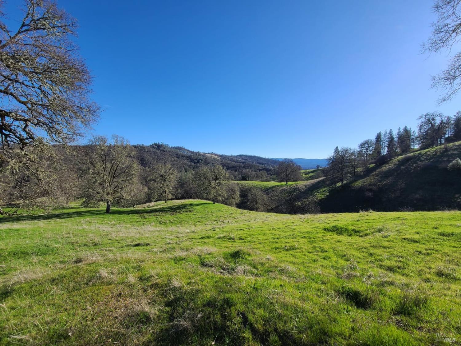 26850 Highway 162 Covelo CA 95428