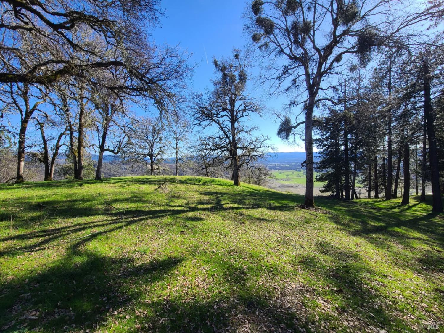 26850 Highway 162 Covelo CA 95428
