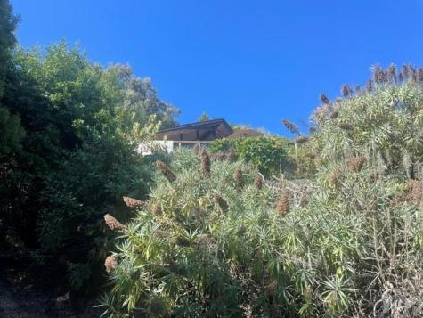 3330 Paradise Drive Tiburon CA 94920