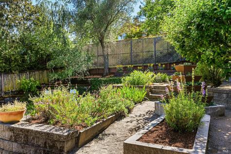 41 Sunnyside Avenue San Anselmo CA 94960