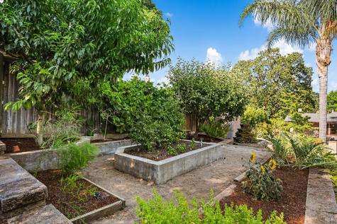41 Sunnyside Avenue San Anselmo CA 94960
