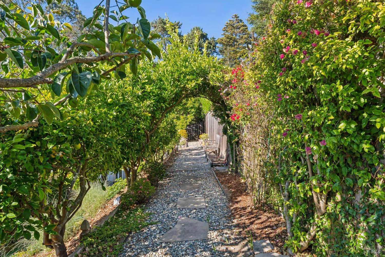 133 Shelley Drive Mill Valley CA 94941