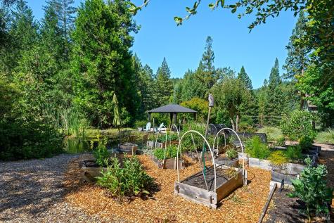 11032 Peaks Pike Road Sebastopol CA 95472