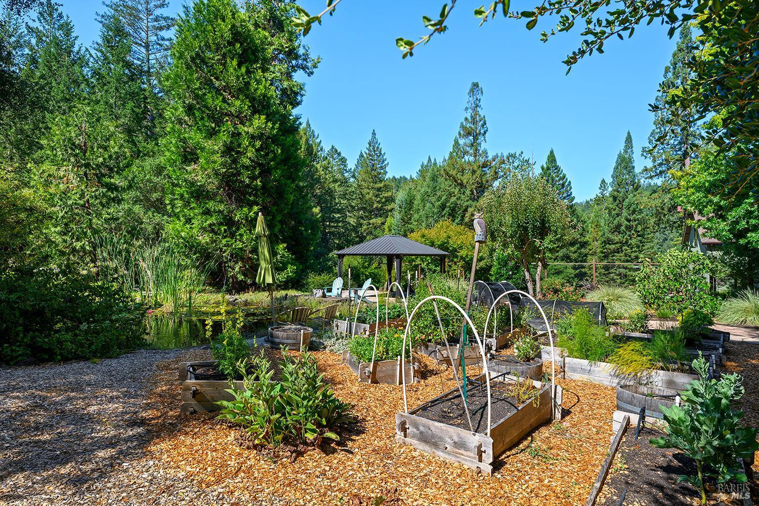 11032 Peaks Pike Road Sebastopol CA 95472