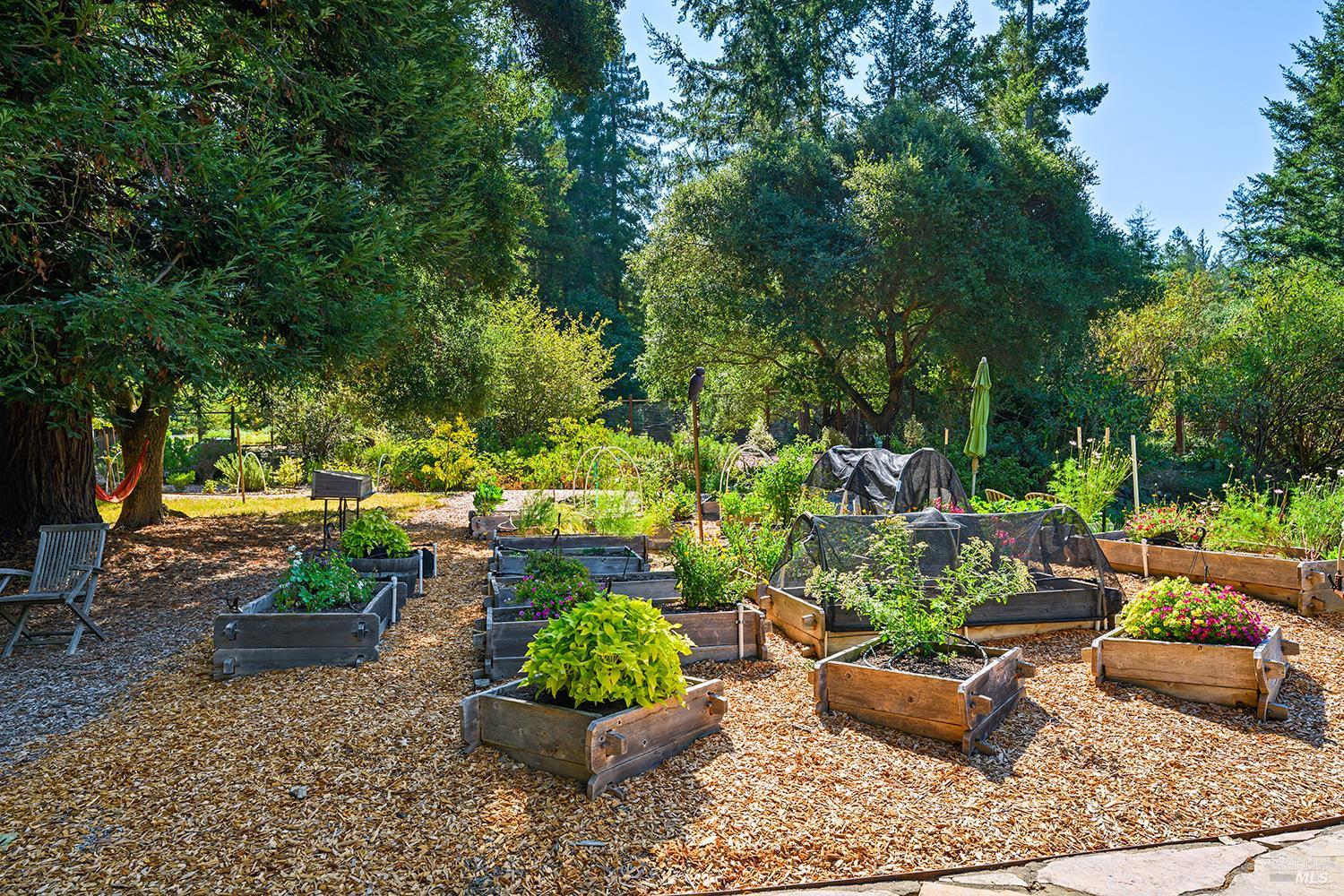 11032 Peaks Pike Road Sebastopol CA 95472