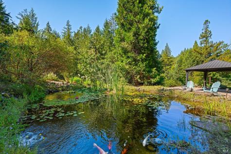 11032 Peaks Pike Road Sebastopol CA 95472