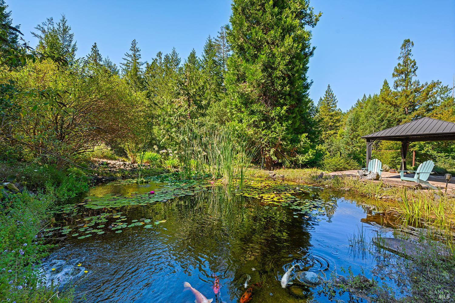 11032 Peaks Pike Road Sebastopol CA 95472
