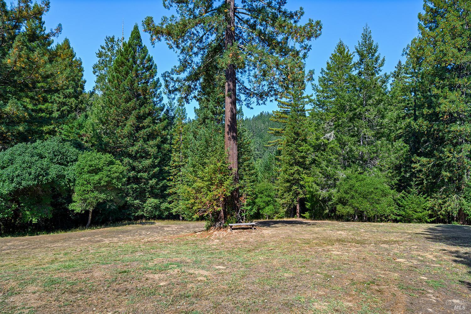 11032 Peaks Pike Road Sebastopol CA 95472