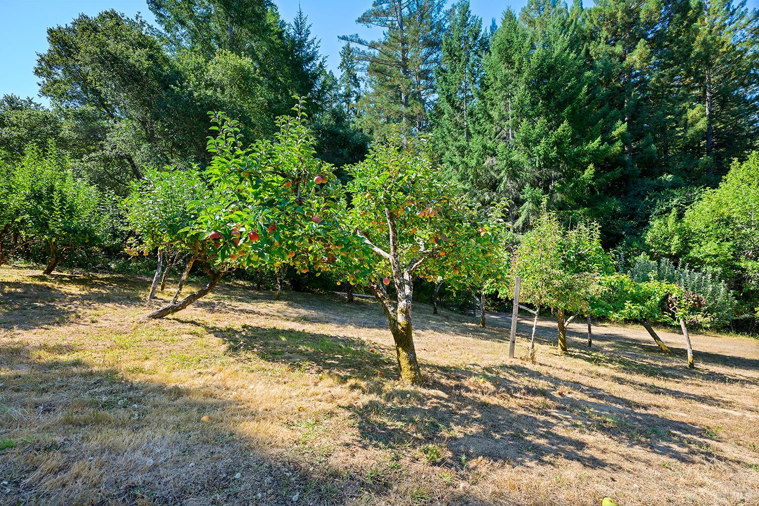 11032 Peaks Pike Road Sebastopol CA 95472