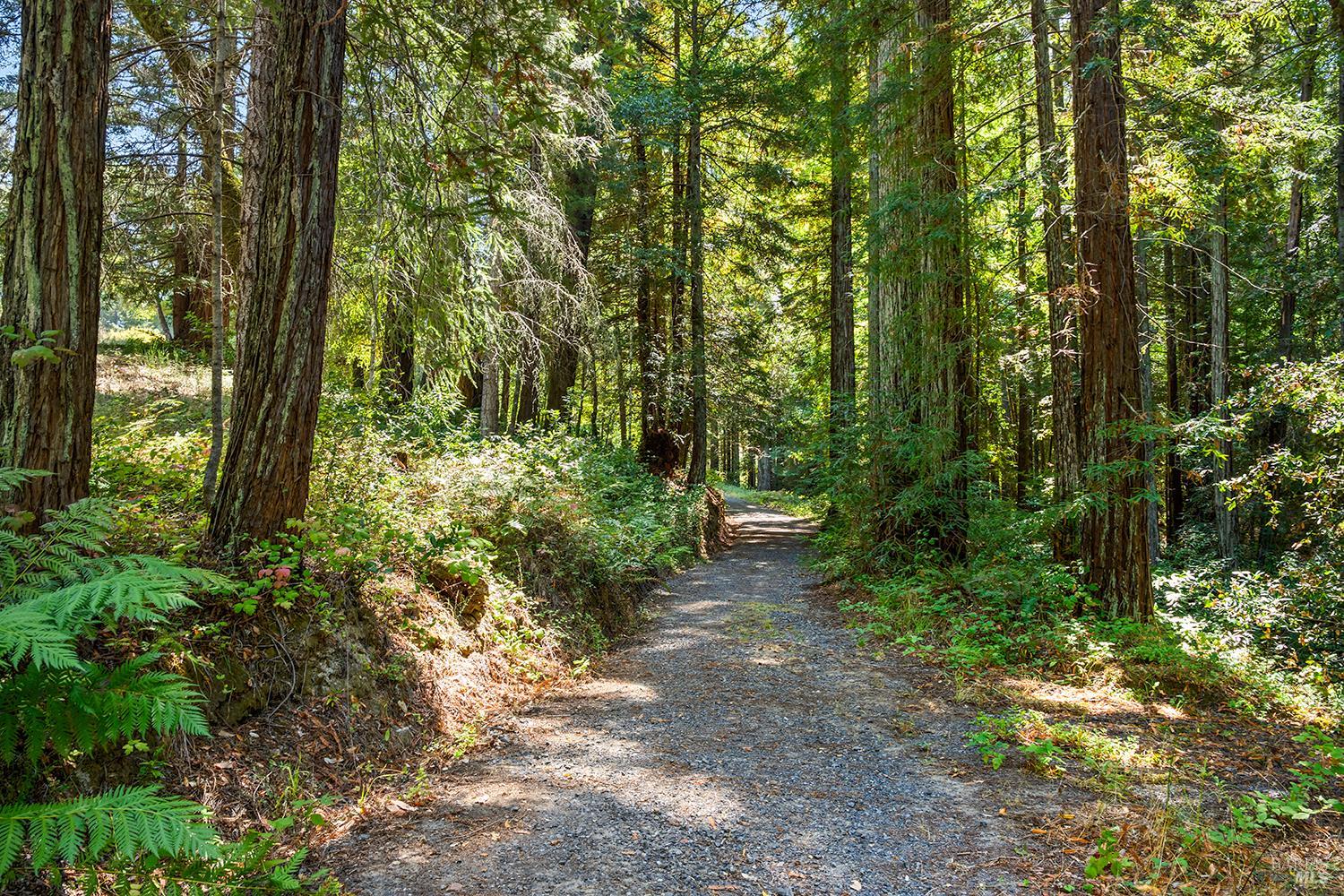 11032 Peaks Pike Road Sebastopol CA 95472