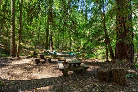 11032 Peaks Pike Road Sebastopol CA 95472