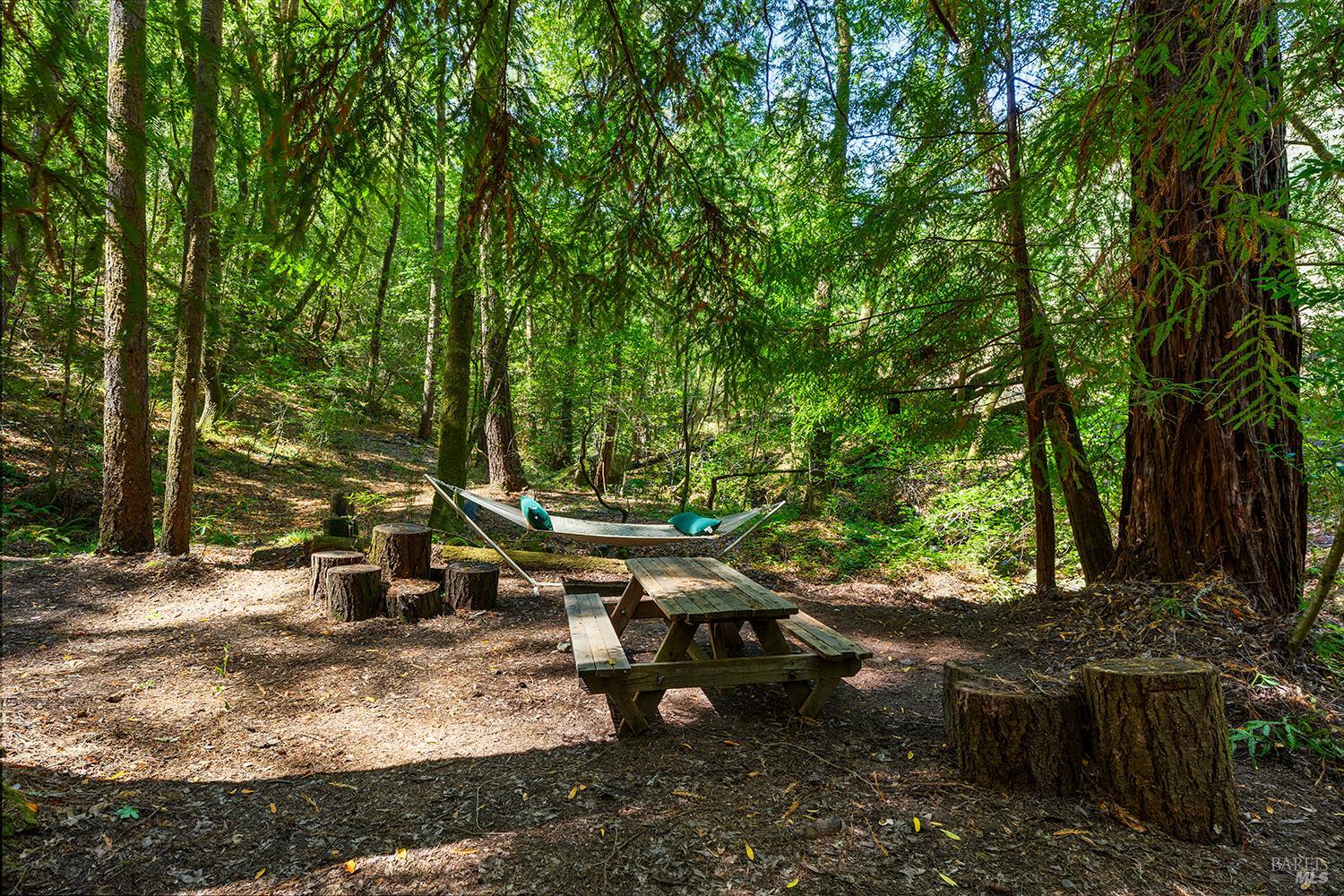 11032 Peaks Pike Road Sebastopol CA 95472
