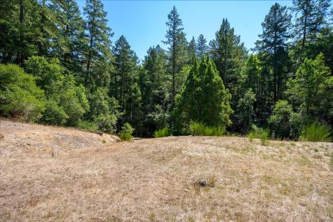 11032 Peaks Pike Road Sebastopol CA 95472