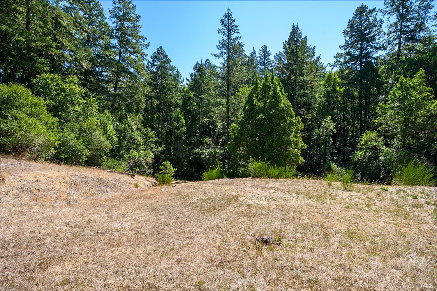 11032 Peaks Pike Road Sebastopol CA 95472