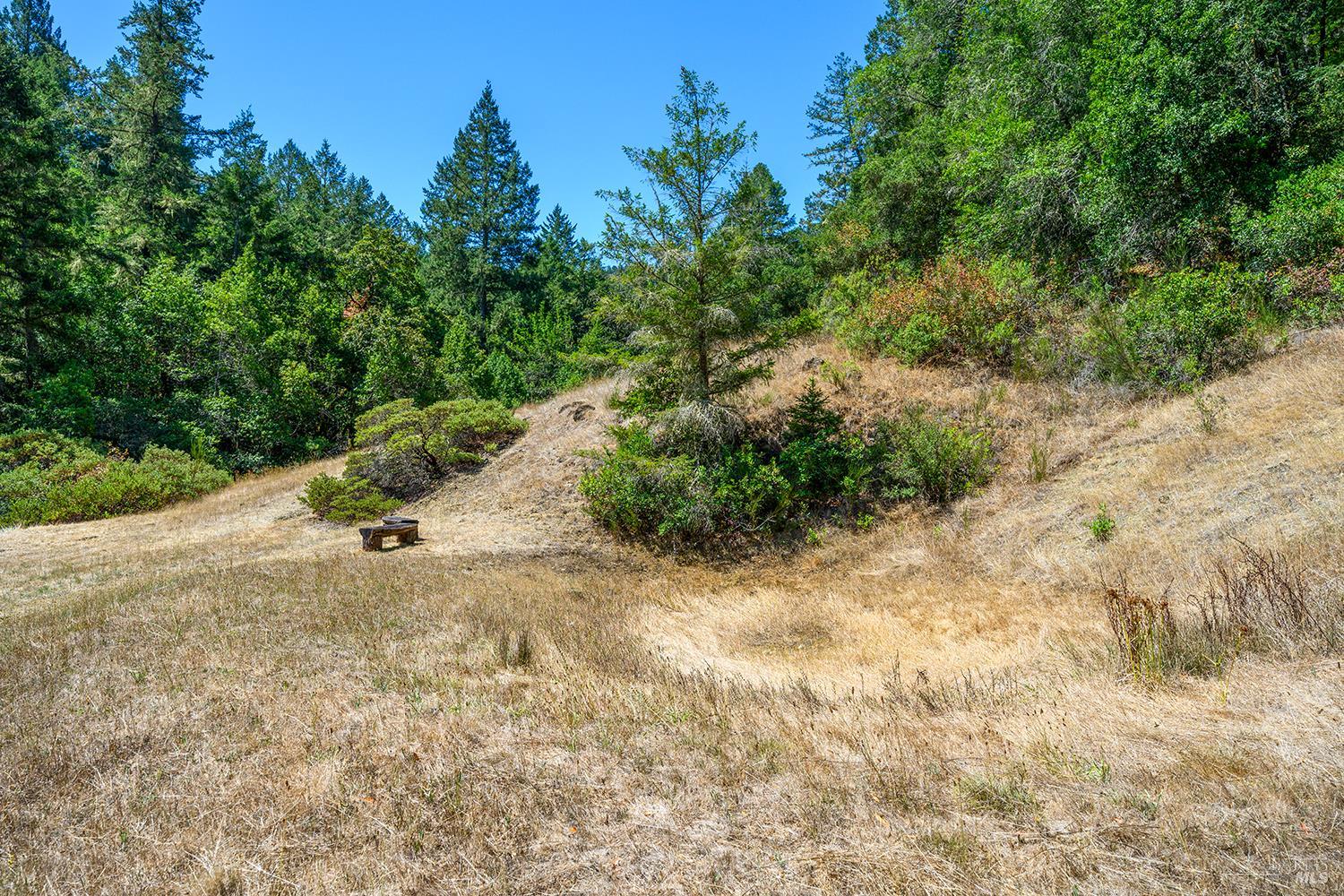11032 Peaks Pike Road Sebastopol CA 95472