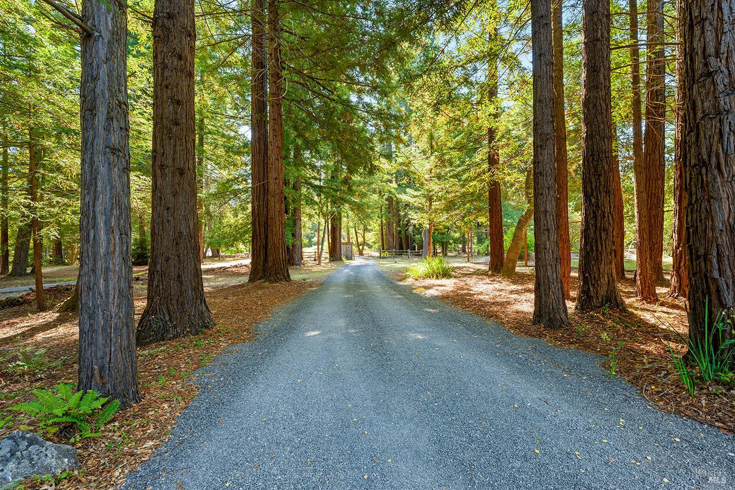 11032 Peaks Pike Road Sebastopol CA 95472