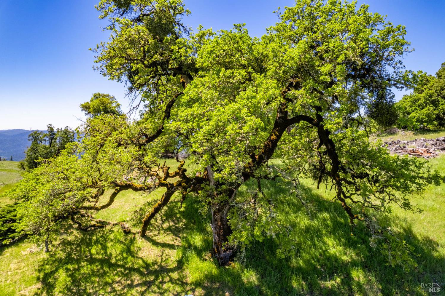 19780 Yorkville Ranch Road Yorkville CA 95494