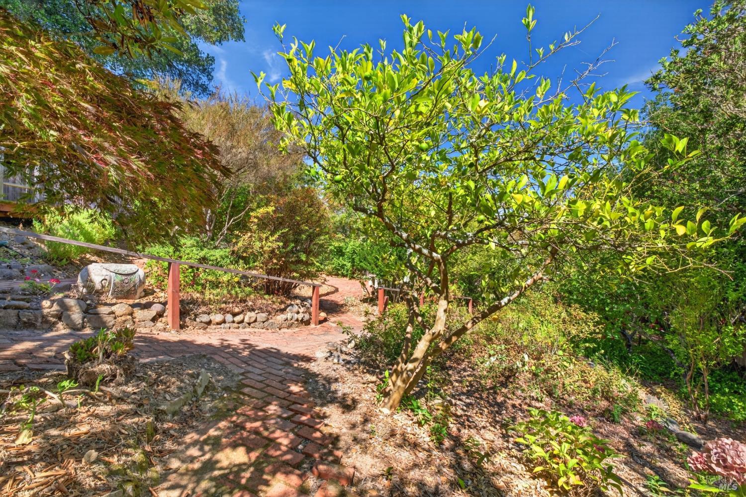 7180 Evan Avenue Sebastopol CA 95472