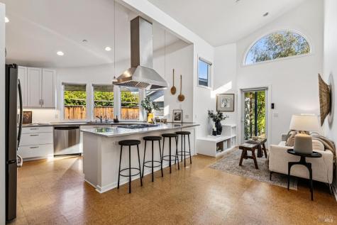 16 Nelson Mill Valley CA 94941