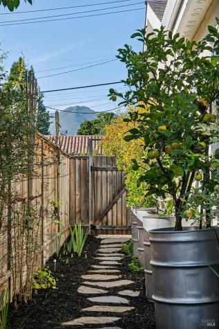 16 Nelson Mill Valley CA 94941