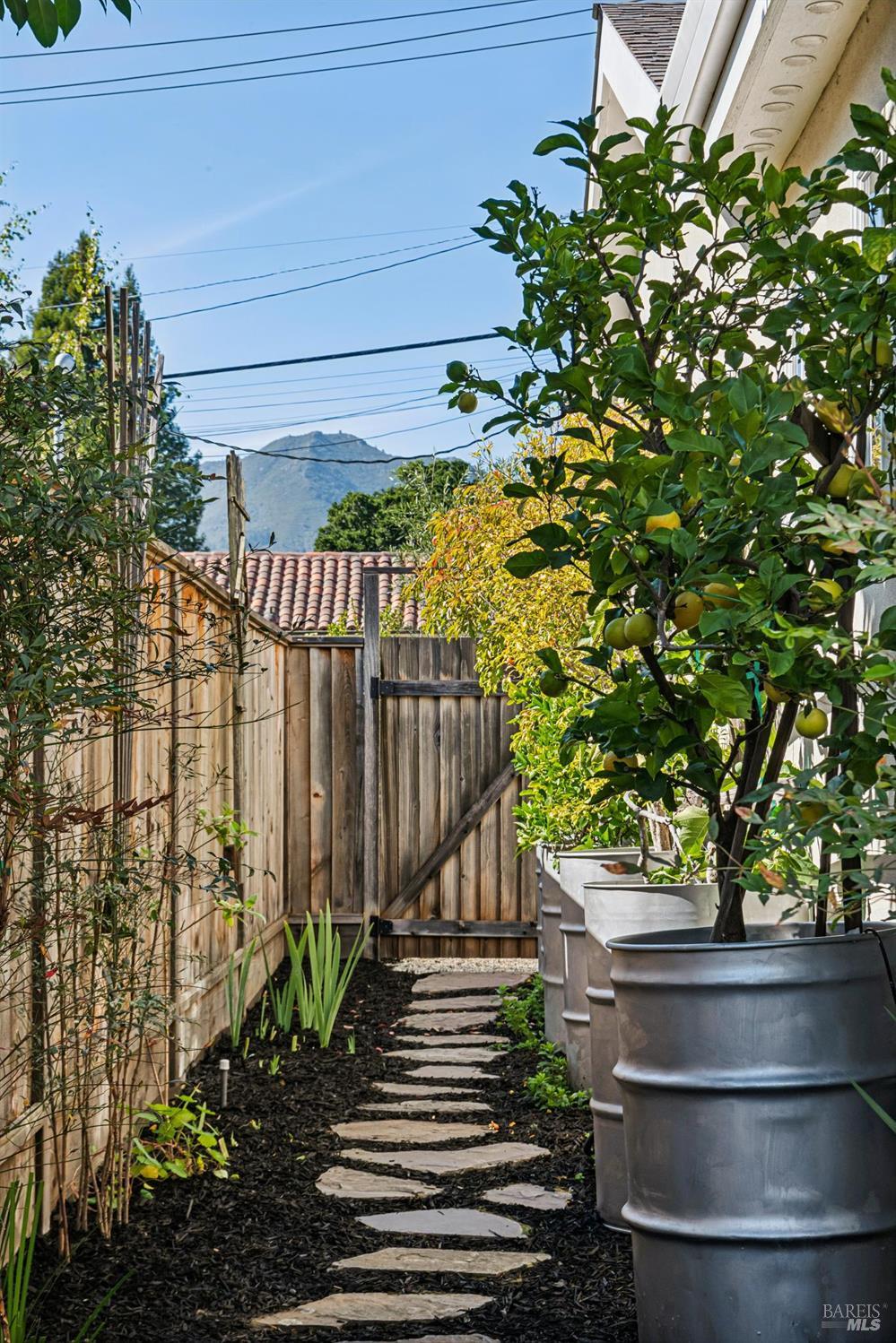 16 Nelson Mill Valley CA 94941