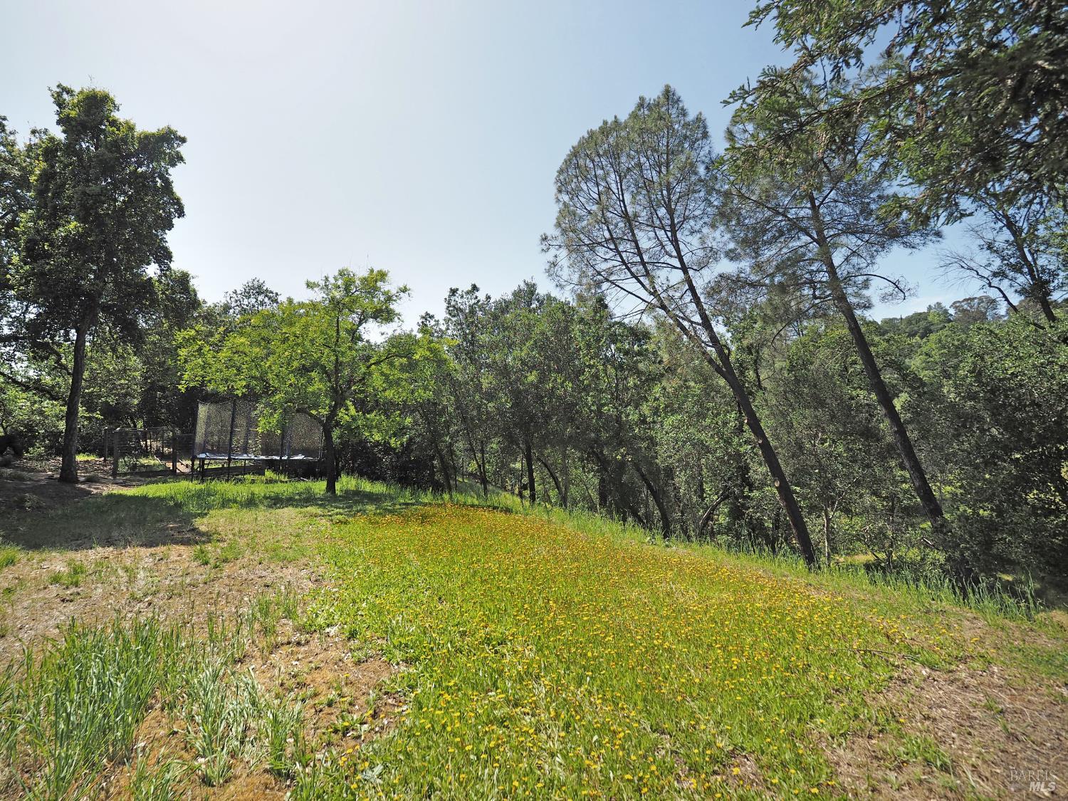 1575 Foxridge Road Geyserville CA 95441