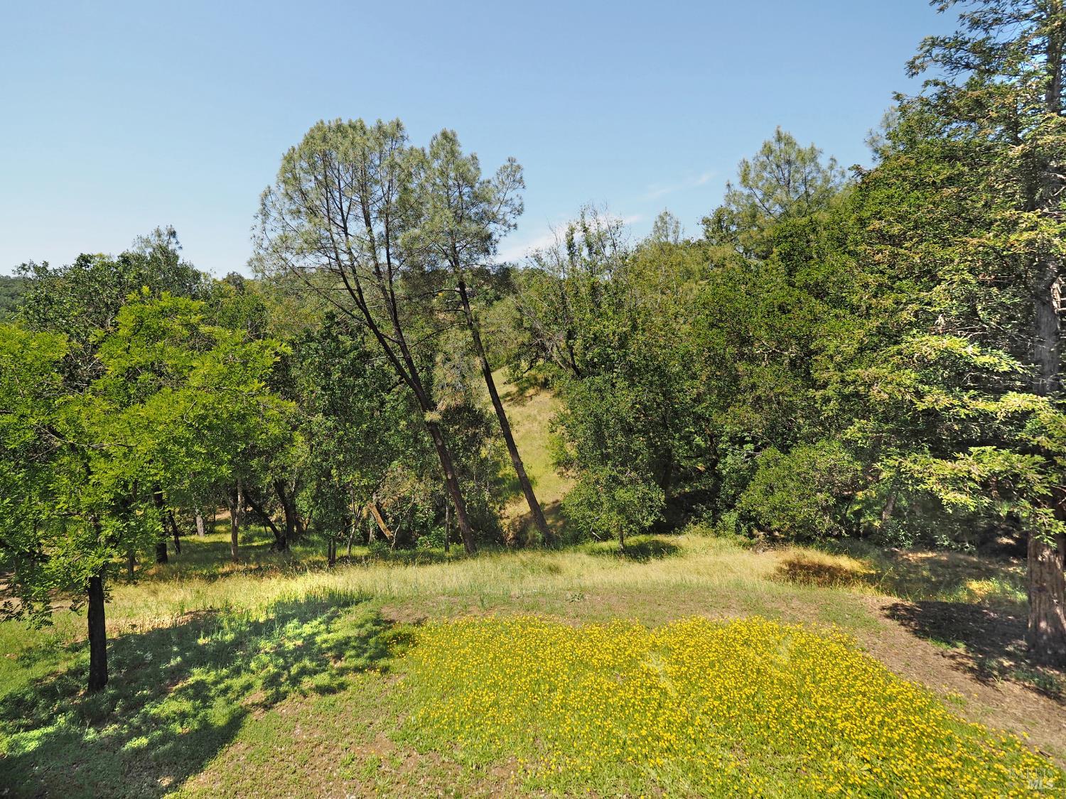 1575 Foxridge Road Geyserville CA 95441