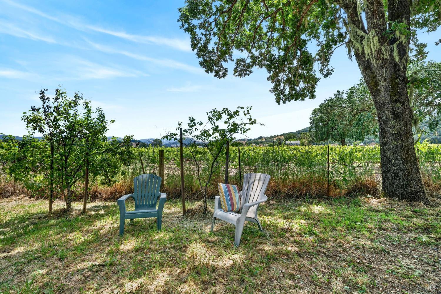 13885 Mountain House Road Hopland CA 95449