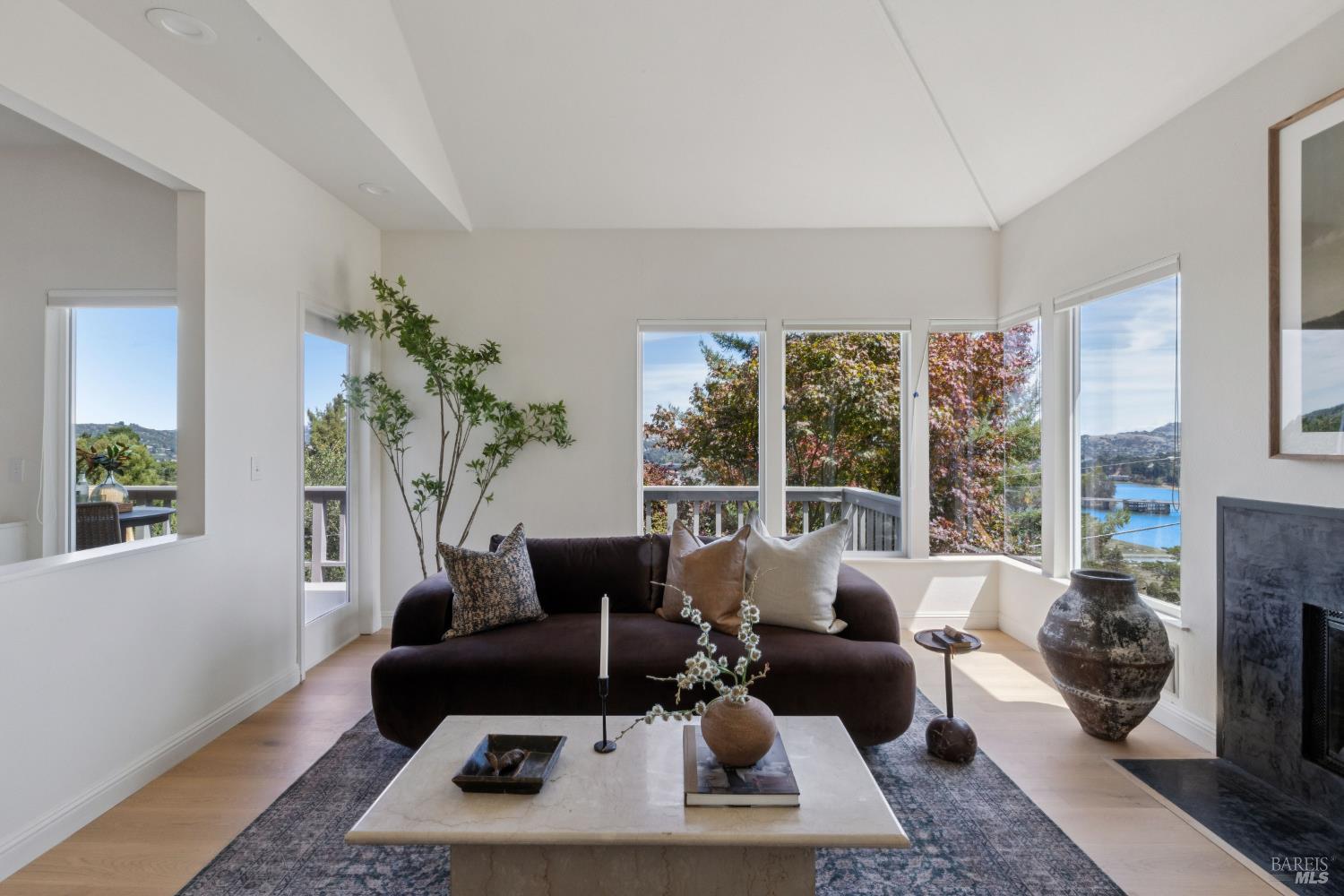 274 Princeton Avenue Mill Valley CA 94941