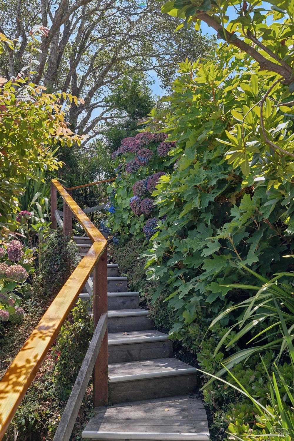 274 Princeton Avenue Mill Valley CA 94941