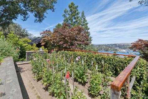 274 Princeton Avenue Mill Valley CA 94941