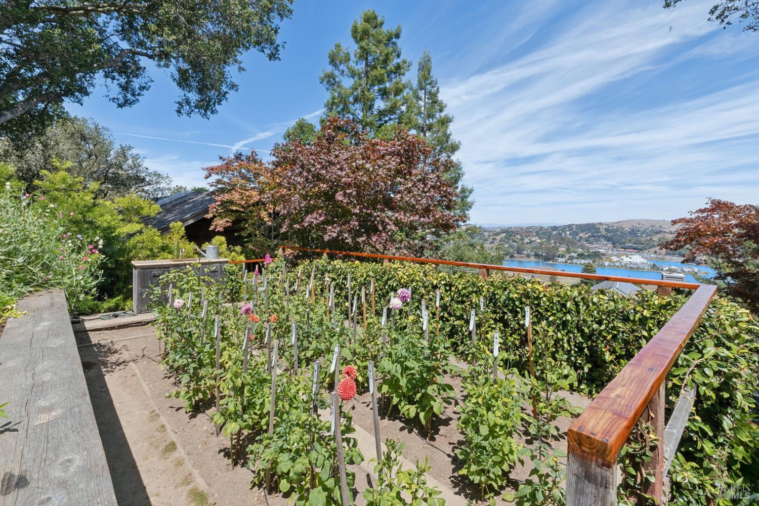 274 Princeton Avenue Mill Valley CA 94941