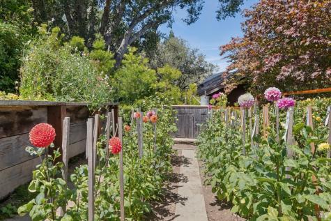 274 Princeton Avenue Mill Valley CA 94941