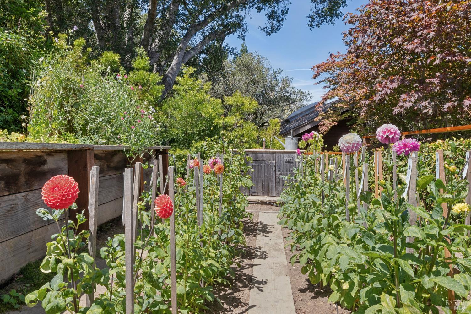 274 Princeton Avenue Mill Valley CA 94941