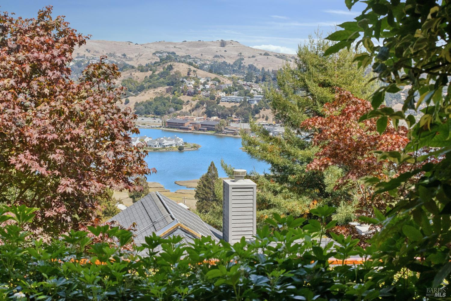 274 Princeton Avenue Mill Valley CA 94941