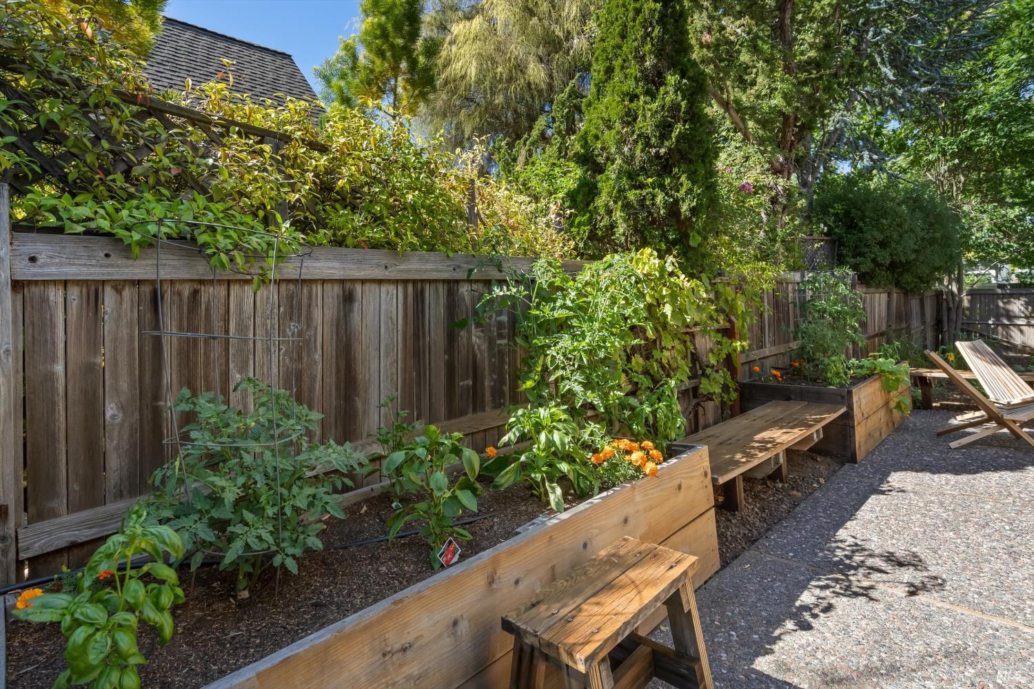21246 Via Colombard Sonoma CA 95476