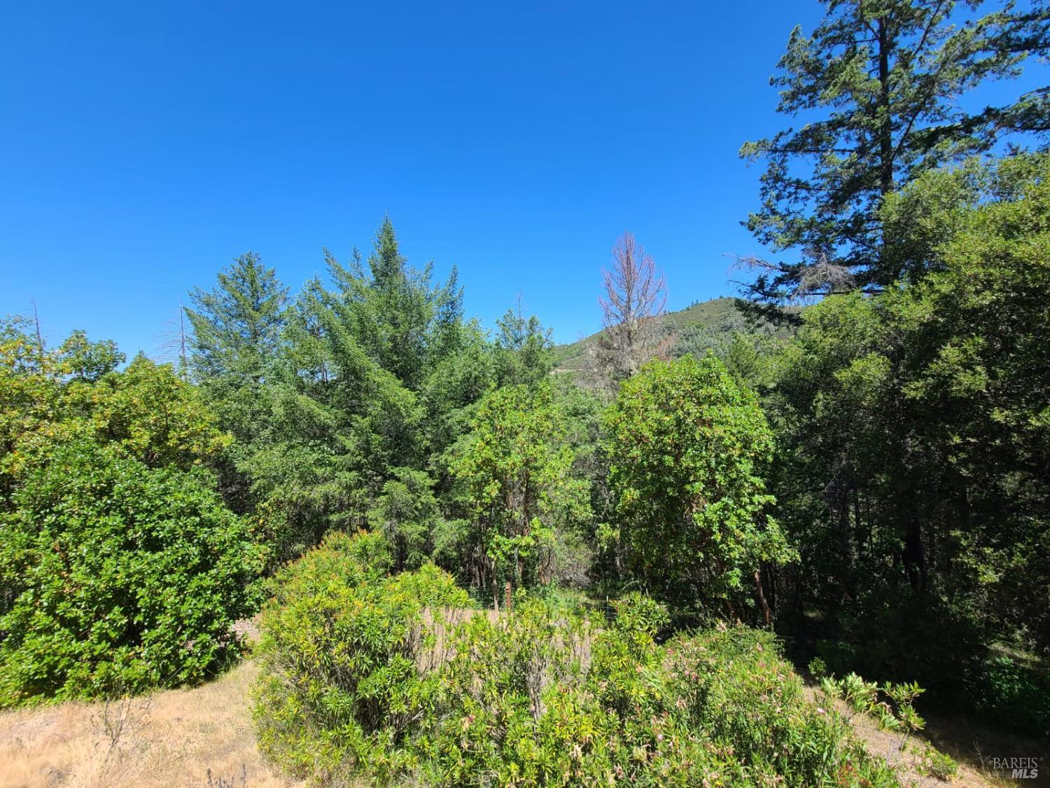 3620 Eel River Ranch Road Covelo CA 95428