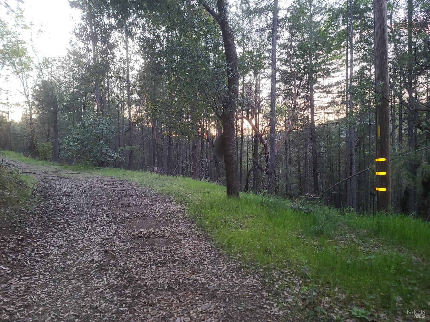 3620 Eel River Ranch Road Covelo CA 95428