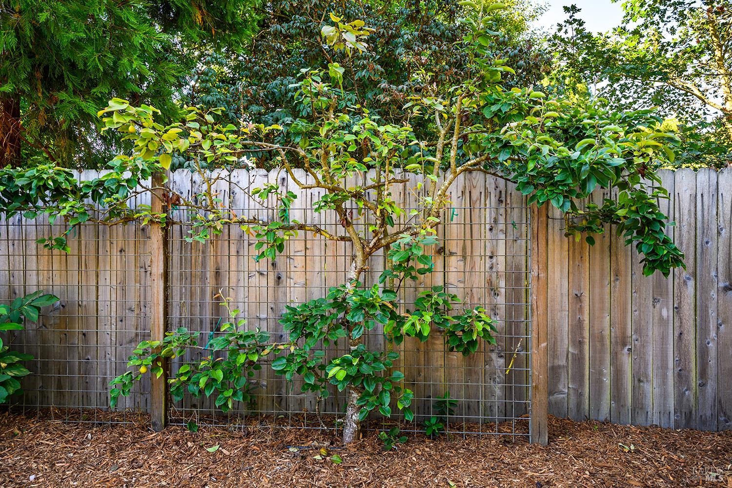 1225 Garden Lane Sebastopol CA 95472