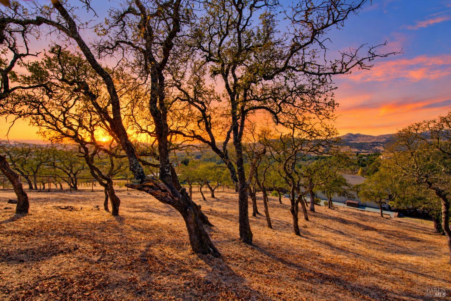 830 Bridle Ridge Drive Fairfield CA 94534