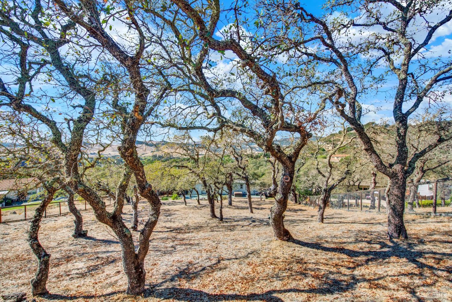 830 Bridle Ridge Drive Fairfield CA 94534