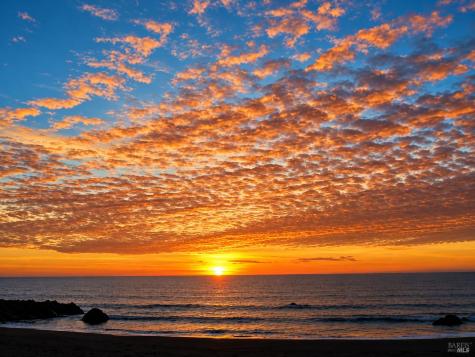 7141 Cliff Avenue Bodega Bay CA 94923
