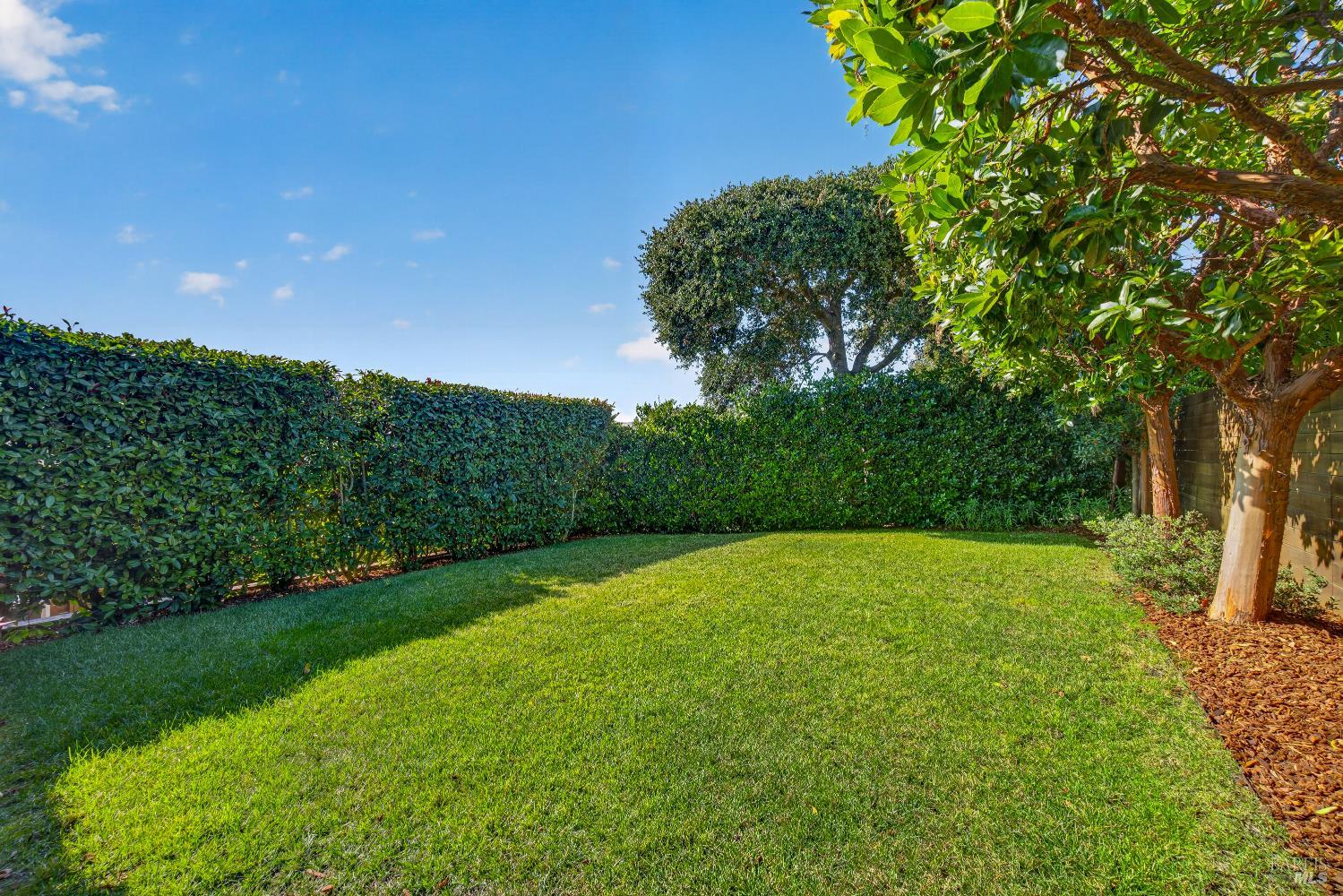 529 Virginia Drive Tiburon CA 94920